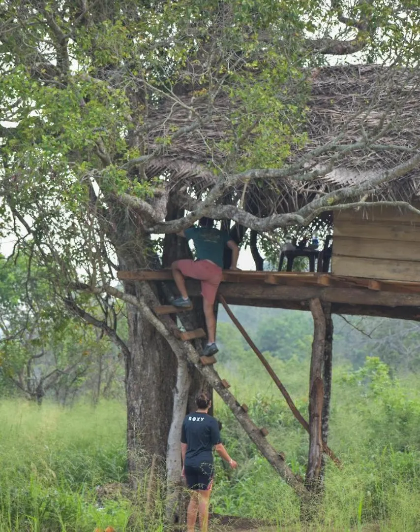 Habarana Tree House Area Hotel Guest house