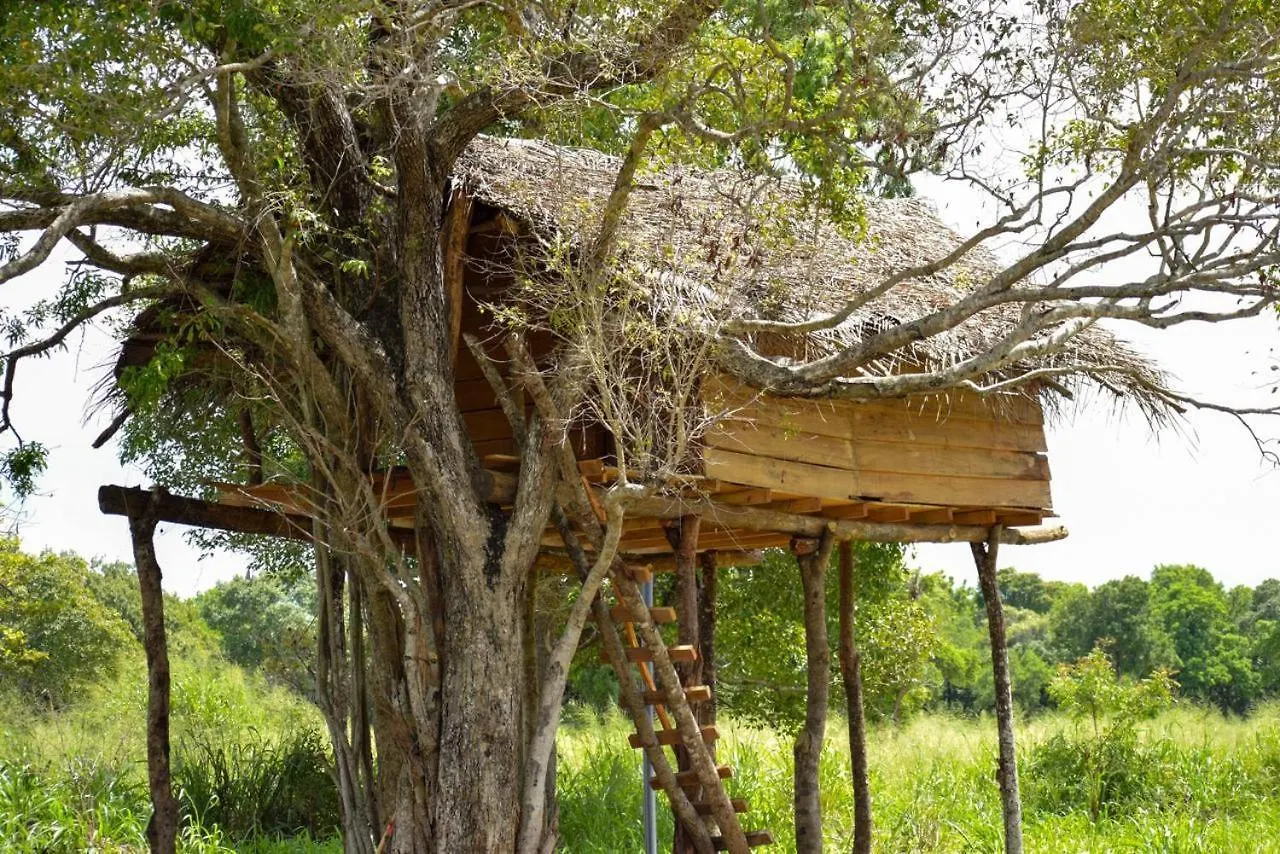 Habarana Tree House Area Hotel