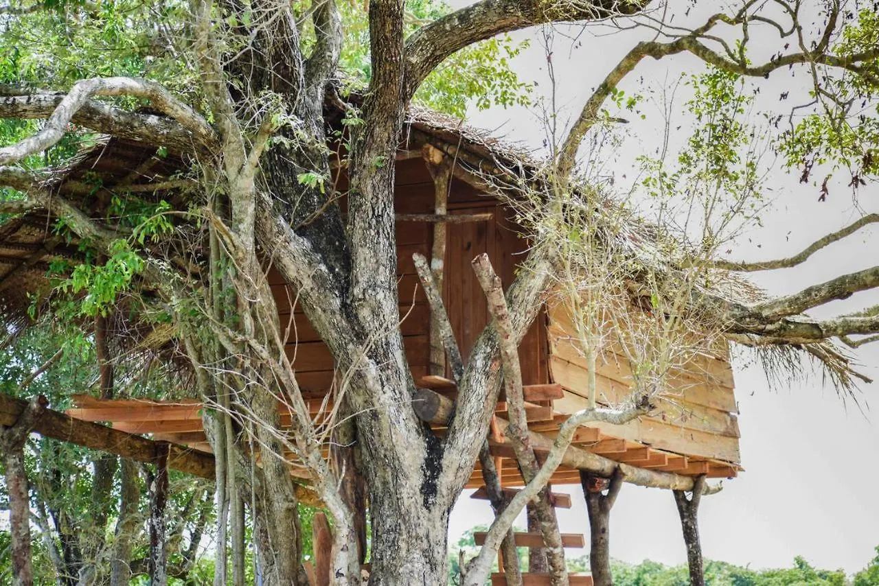 Habarana Tree House Area Hotel