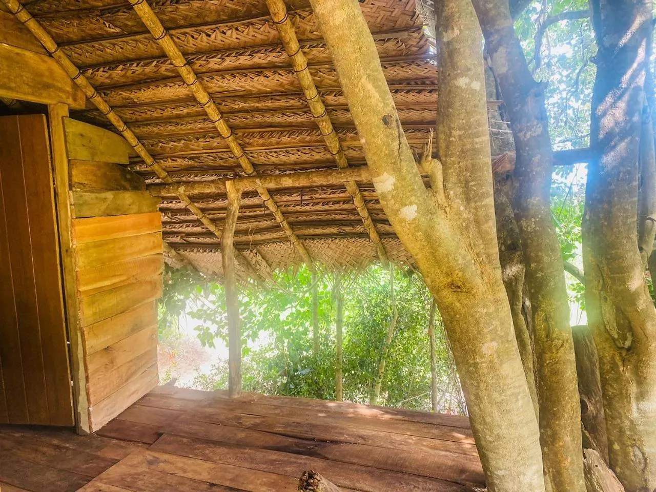 Habarana Tree House Area Hotel 0*,  Sri Lanka