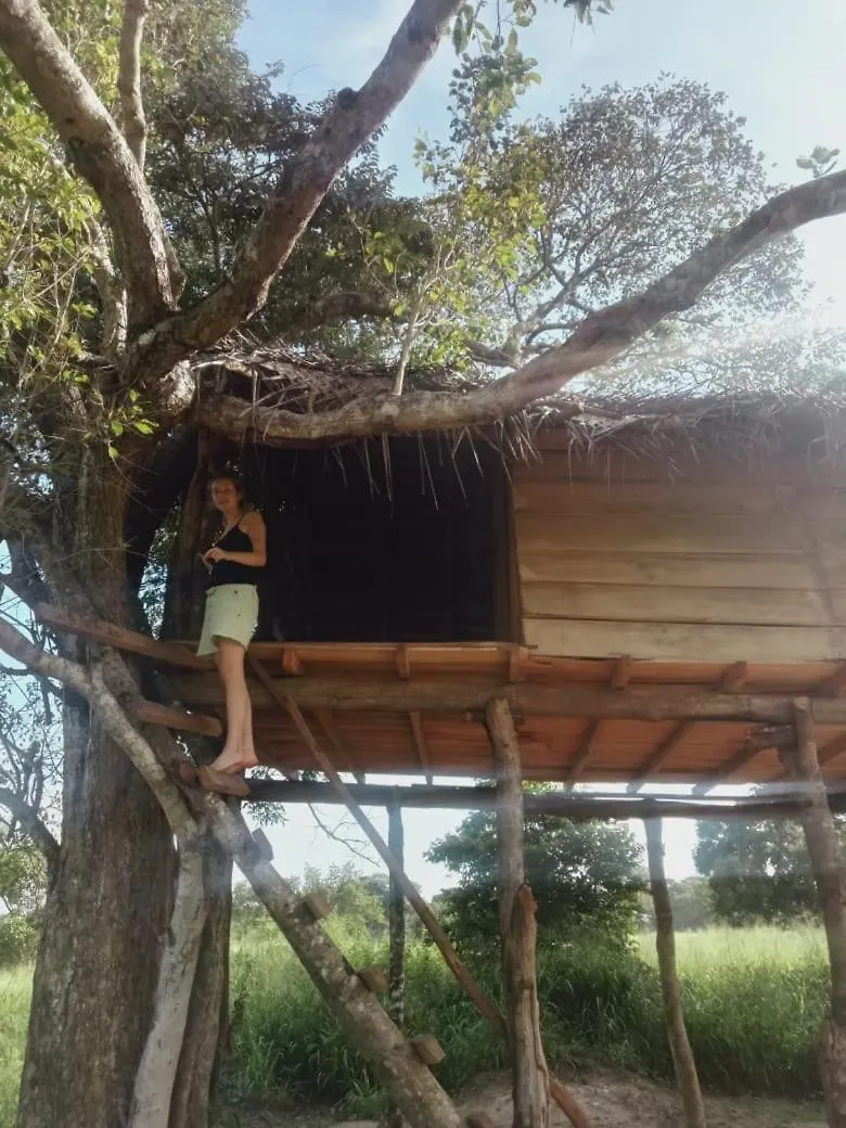 Habarana Tree House Area Hotel Guest house
