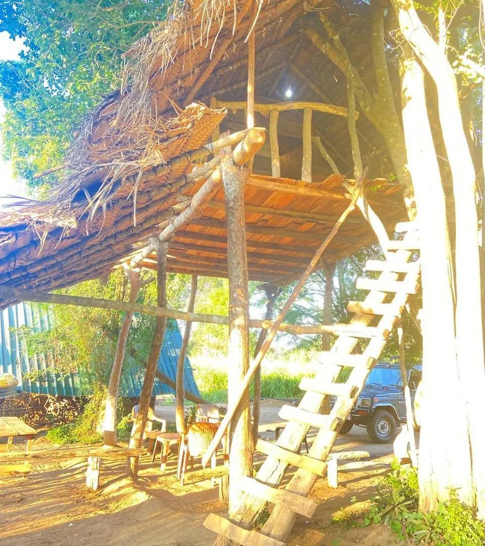 Habarana Tree House Area Hotel Sri Lanka