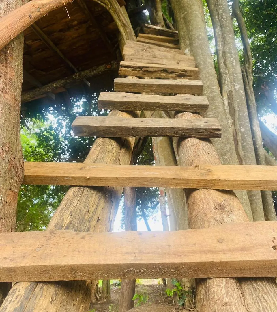 Guest house Habarana Tree House Area Hotel Sri Lanka