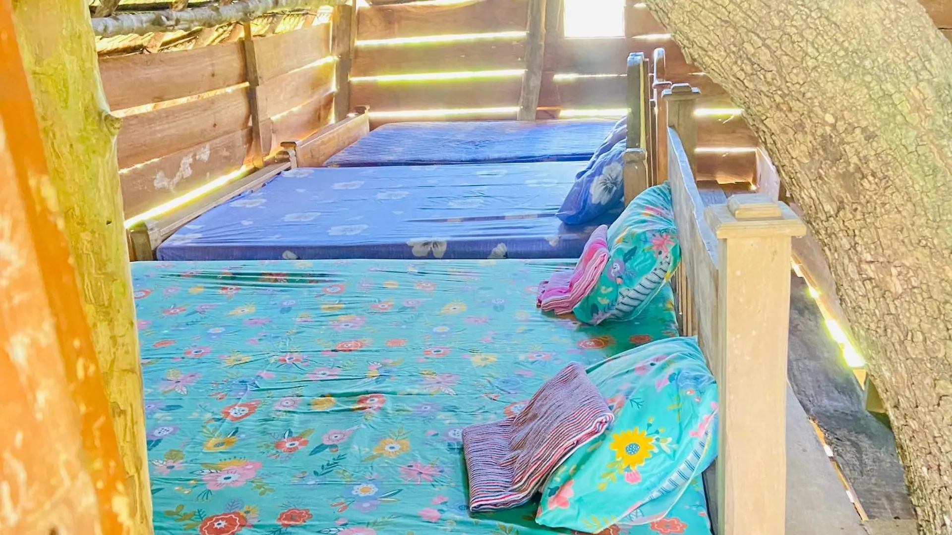 Guest house Habarana Tree House Area Hotel