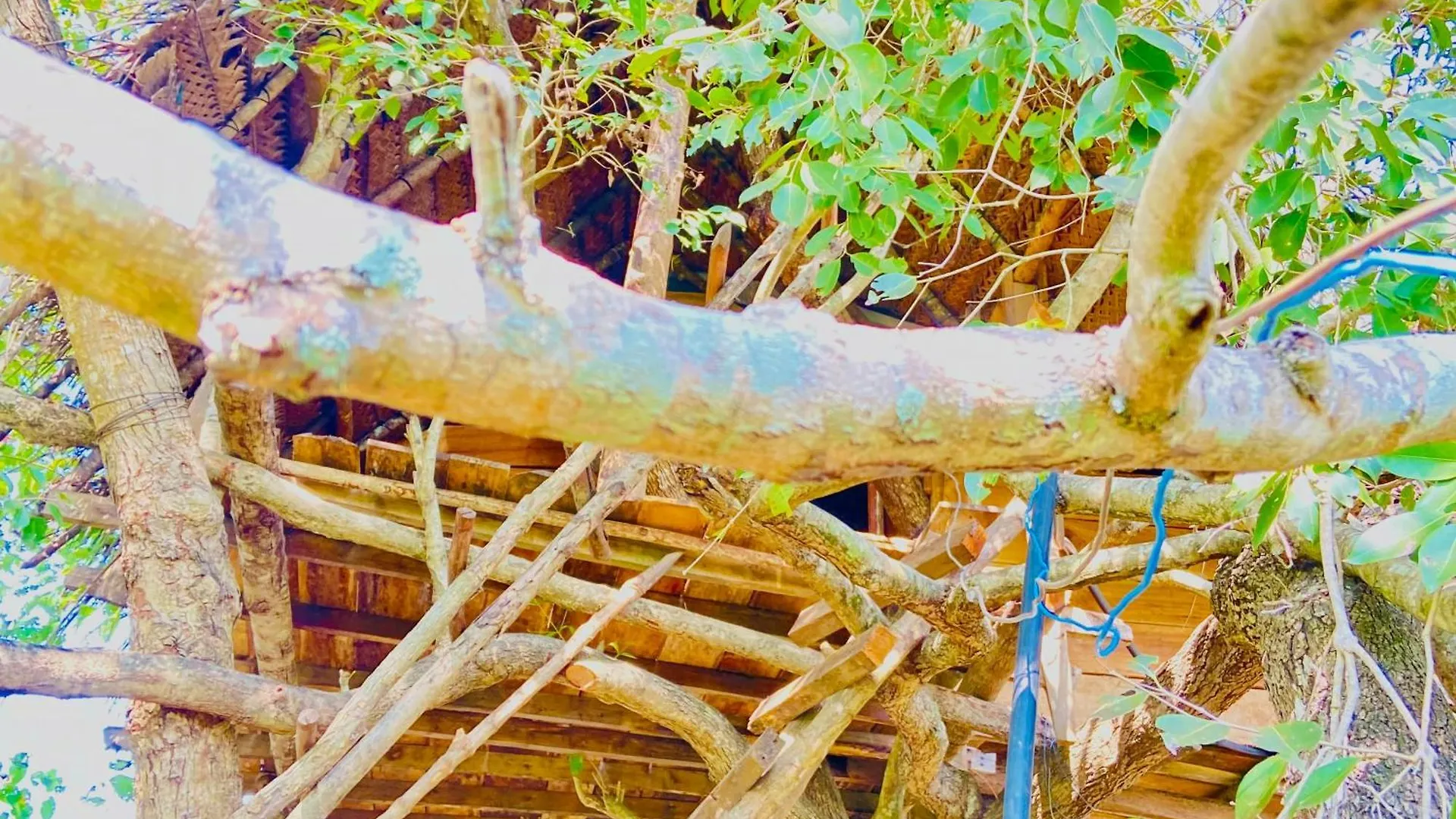 Habarana Tree House Area Hotel Guest house