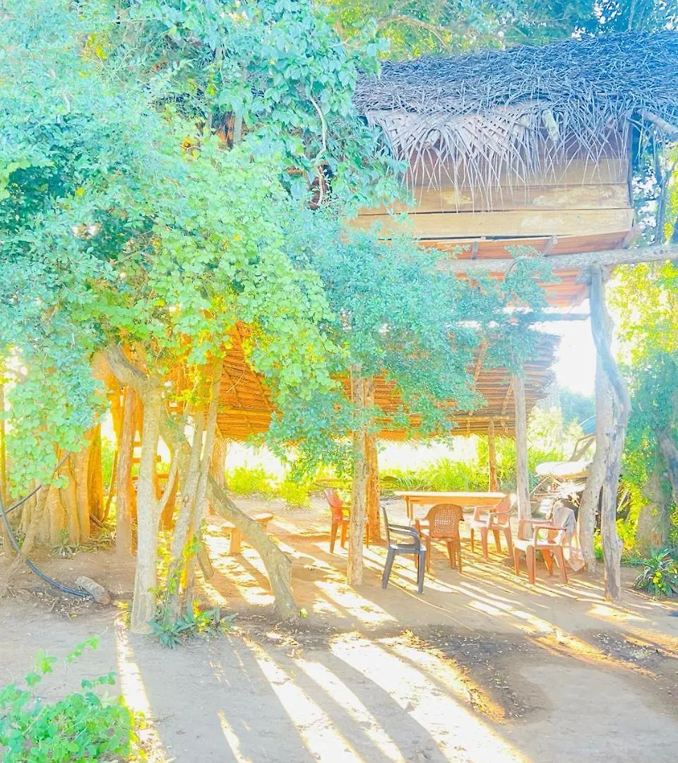 Guest house Habarana Tree House Area Hotel